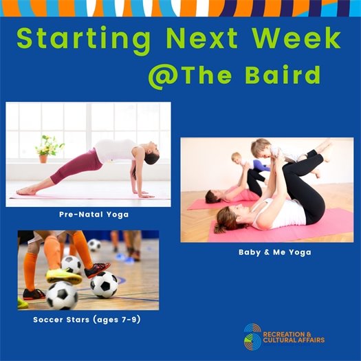 Programming Starting Next Week at the Baird 