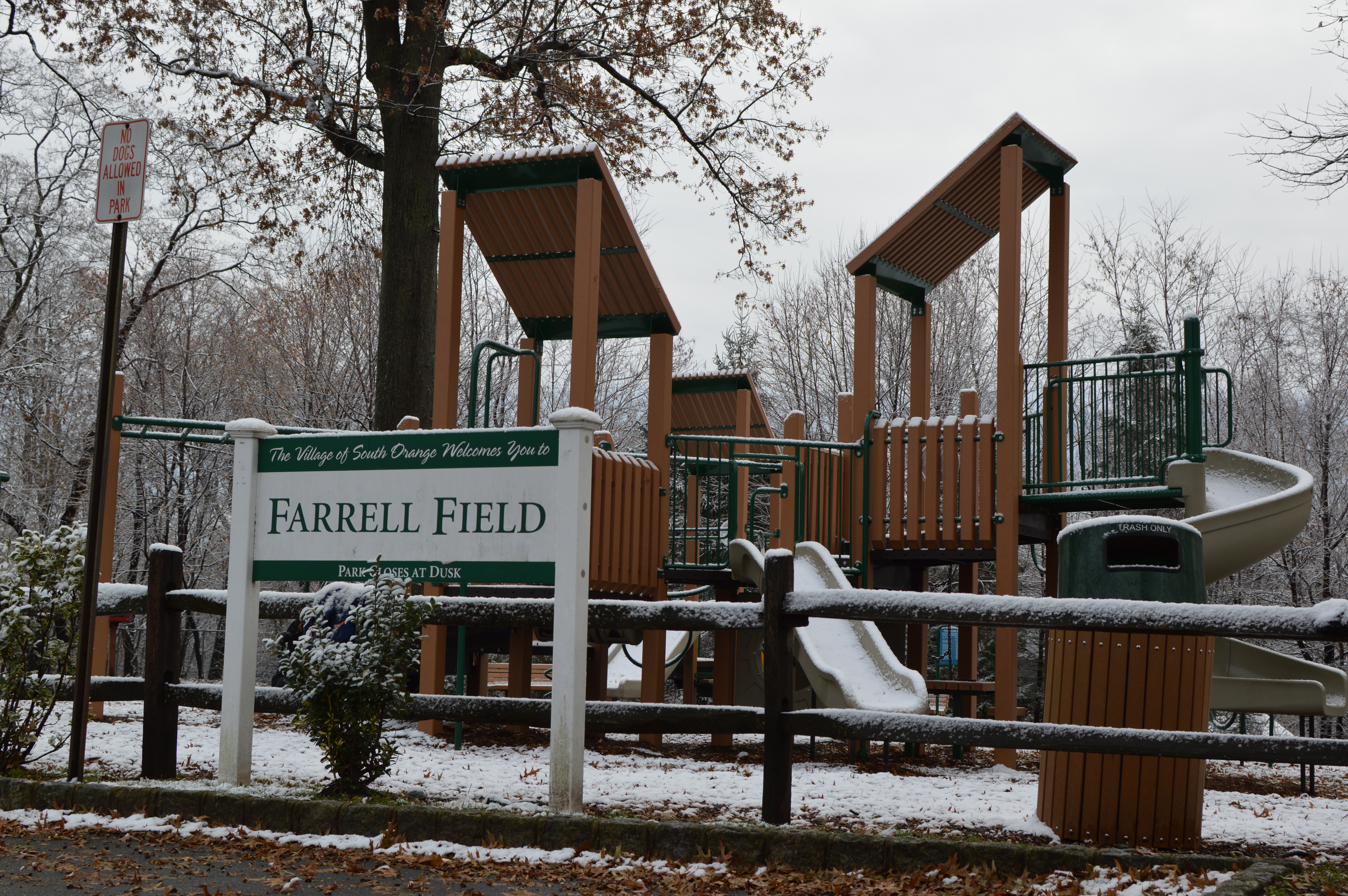 Farrell Field