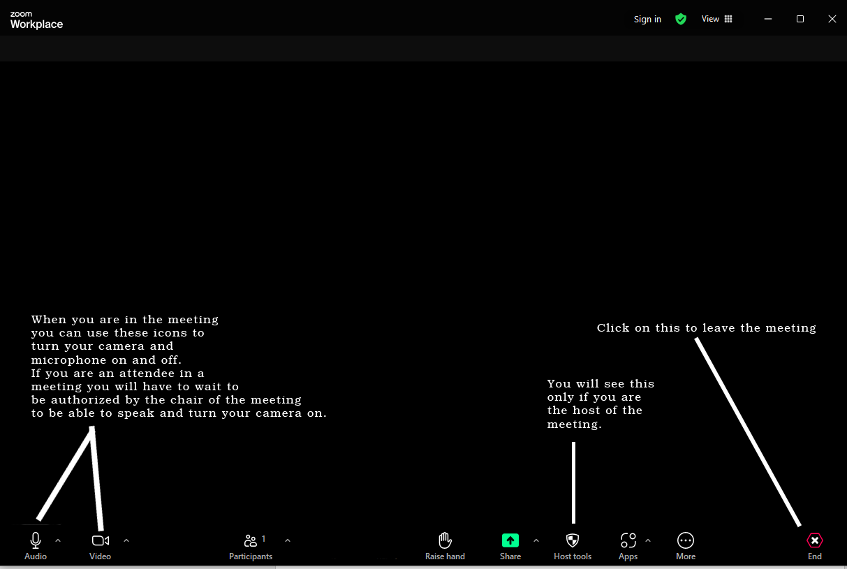 Zoom 2 audio and host copy